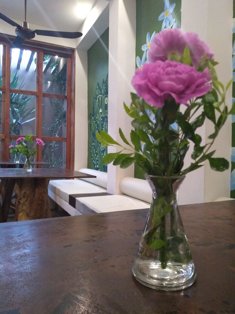 Casa 5 Bed & Breakfast — Palenque — photo 3