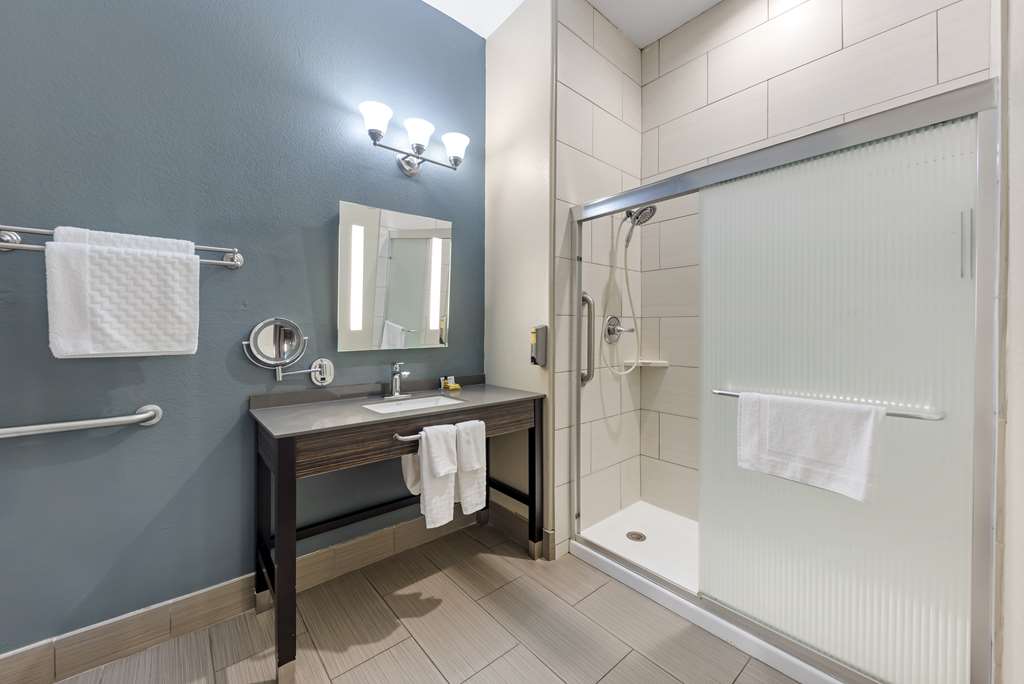Best Western Plus Pflugerville - photo 28