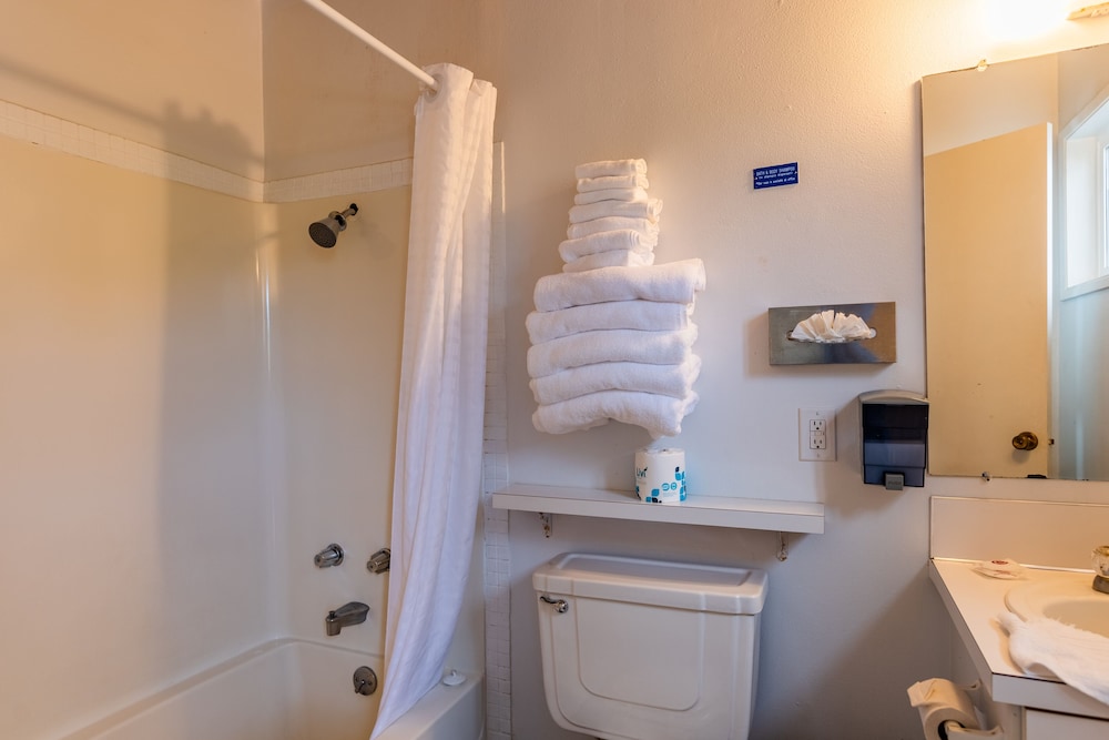 Seagull Beachfront Inn - photo 103
