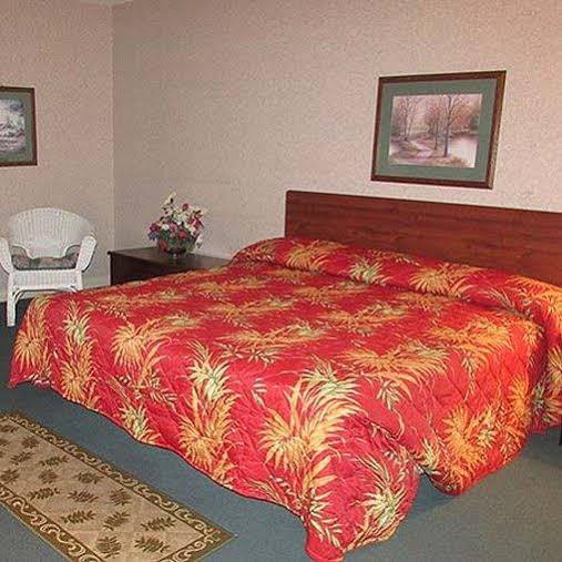 New Valdosta Inn & Suites - photo 5