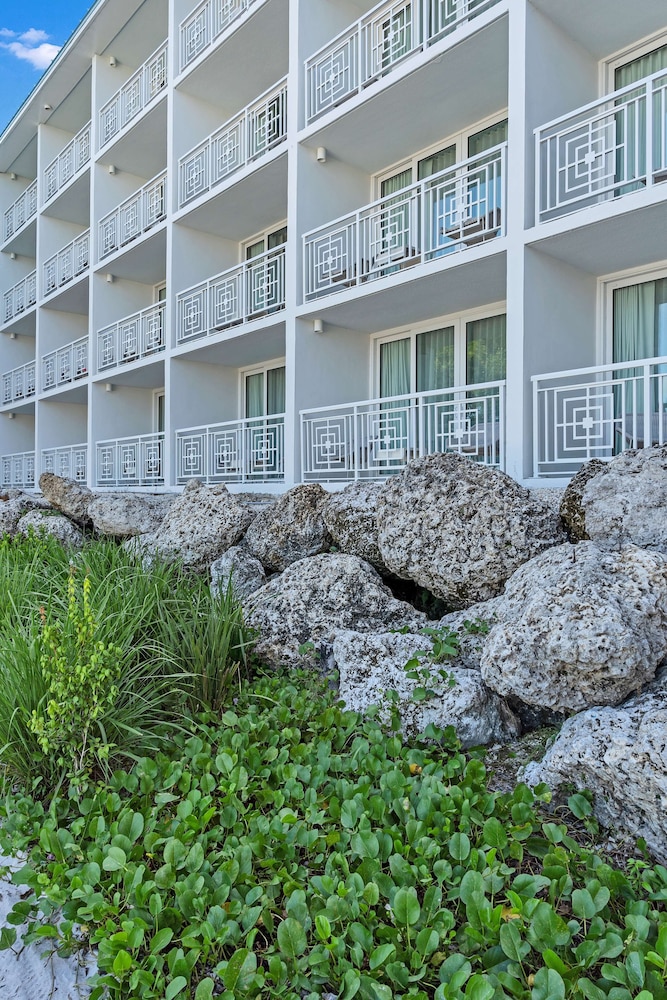 Baker's Cay Resort Key Largo Curio Collection by Hilton - photo 17
