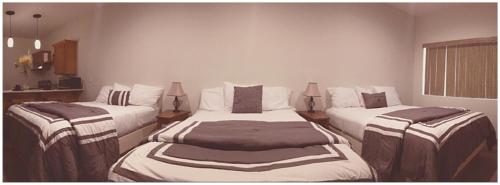 Harbour Inn - photo 33