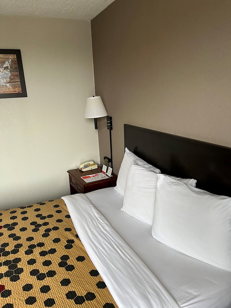 Red Carpet Inn Quantico - photo 15