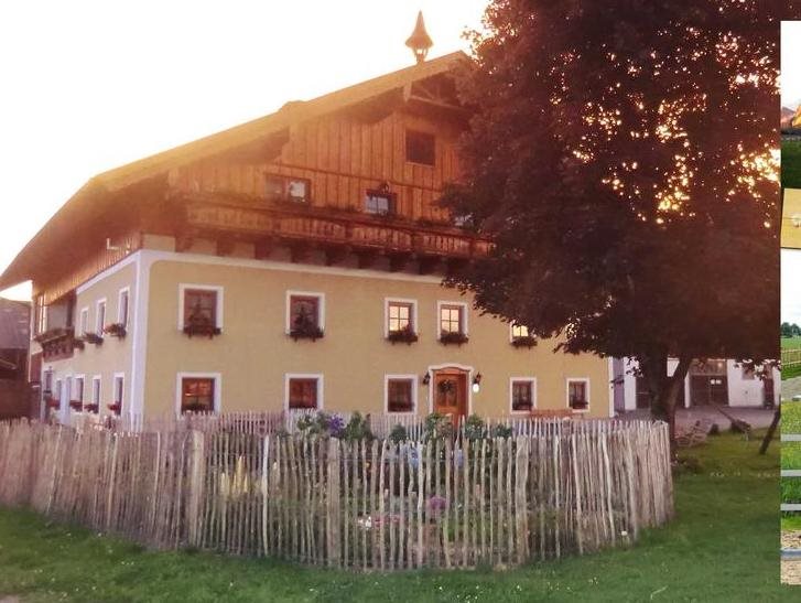 Kinderparadies Bachbauer - carbon neutral hotel in Sankt Lorenz