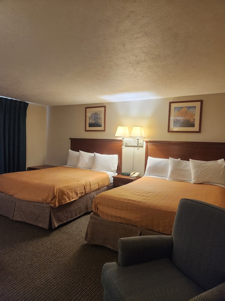 Royal Motel - photo 21