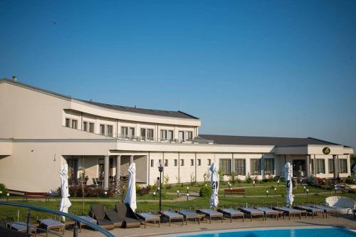 Papillon in Pitesti, Romania