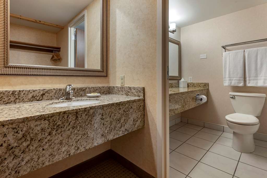 Best Western Plus Oswego Hotel and Conference Center - photo 46