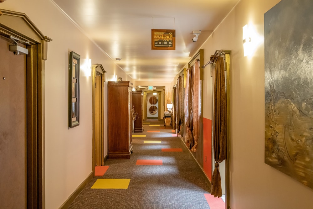 Luxx Plaza Hotel - photo 48
