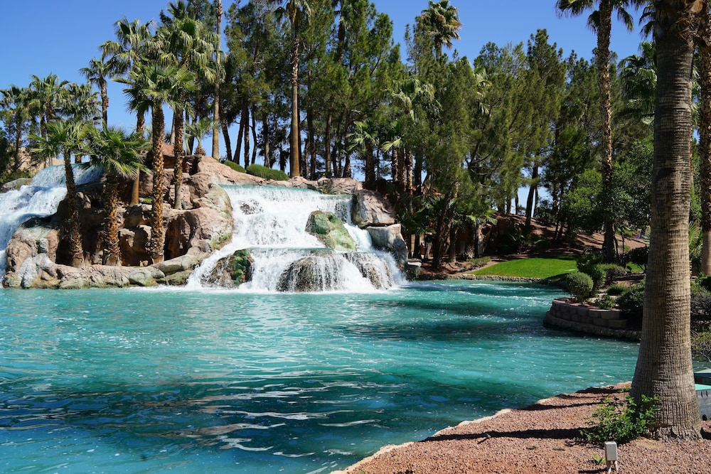 CasaBlanca Resort and Casino - photo 41