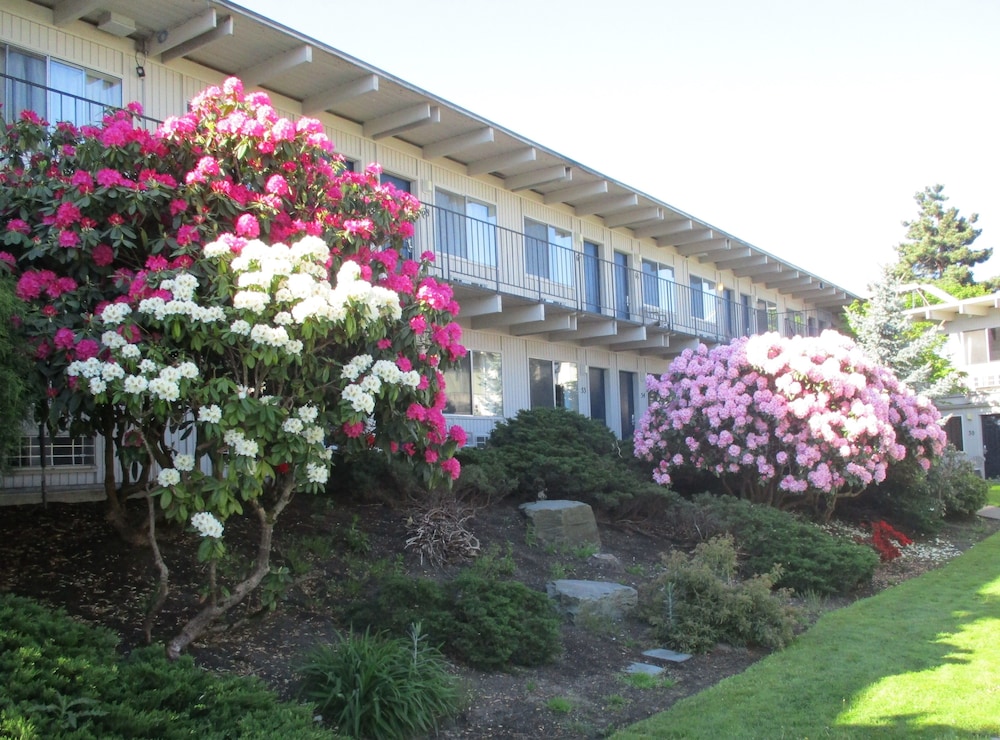 Cocusa Motel - photo 136