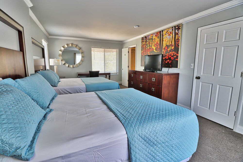 Serendipity Inn - photo 12