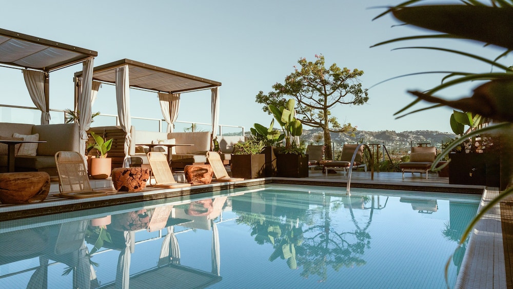 Kimpton Hotel Wilshire by IHG - photo 33