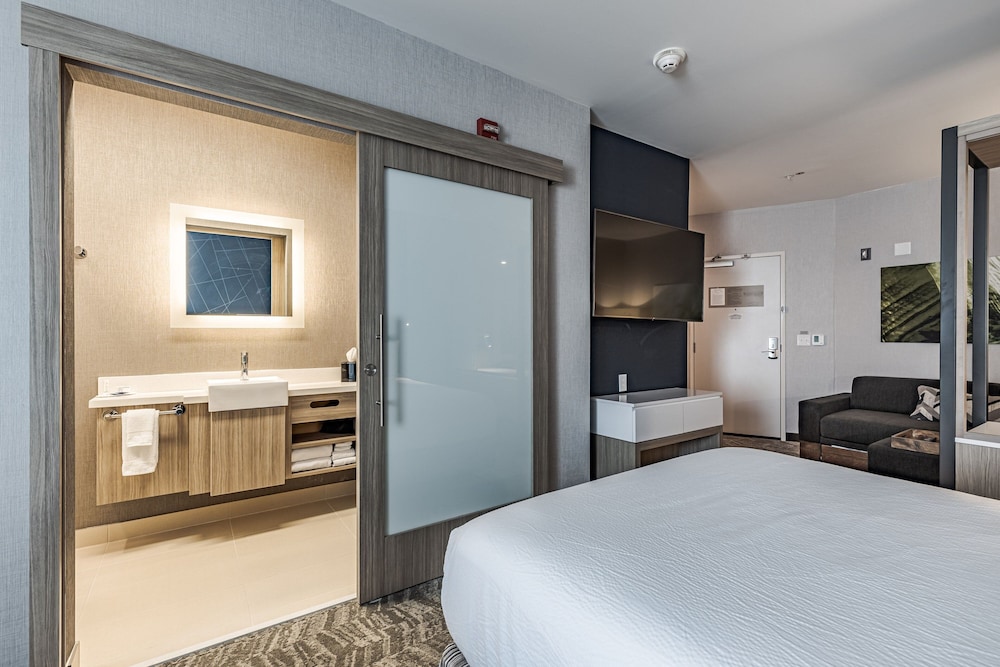 SpringHill Suites by Marriott Detroit Sterling Heights - photo 10