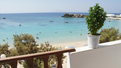 Lefkosia Studios — Karpathos — photo 2