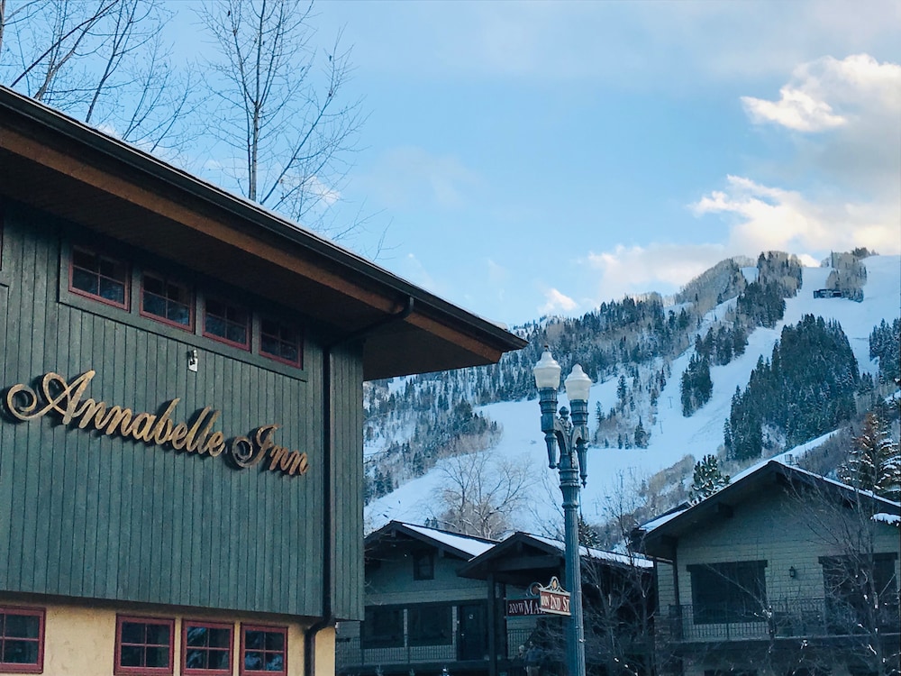 Annabelle Inn - photo 61