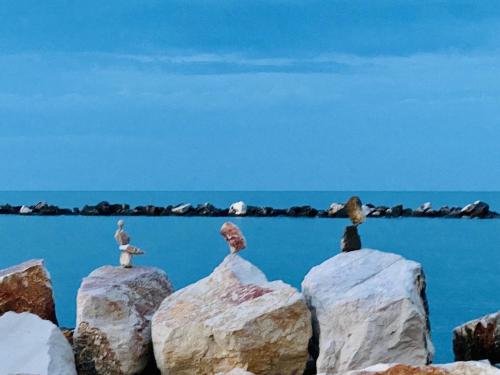 Baia dell Alba in Termoli, Italy
