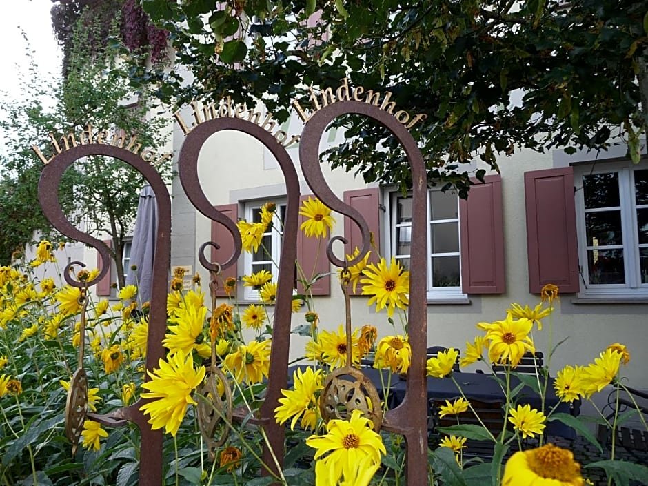 Hotel garni Lindenhof im Steigerwald — hotel in Knetzgau