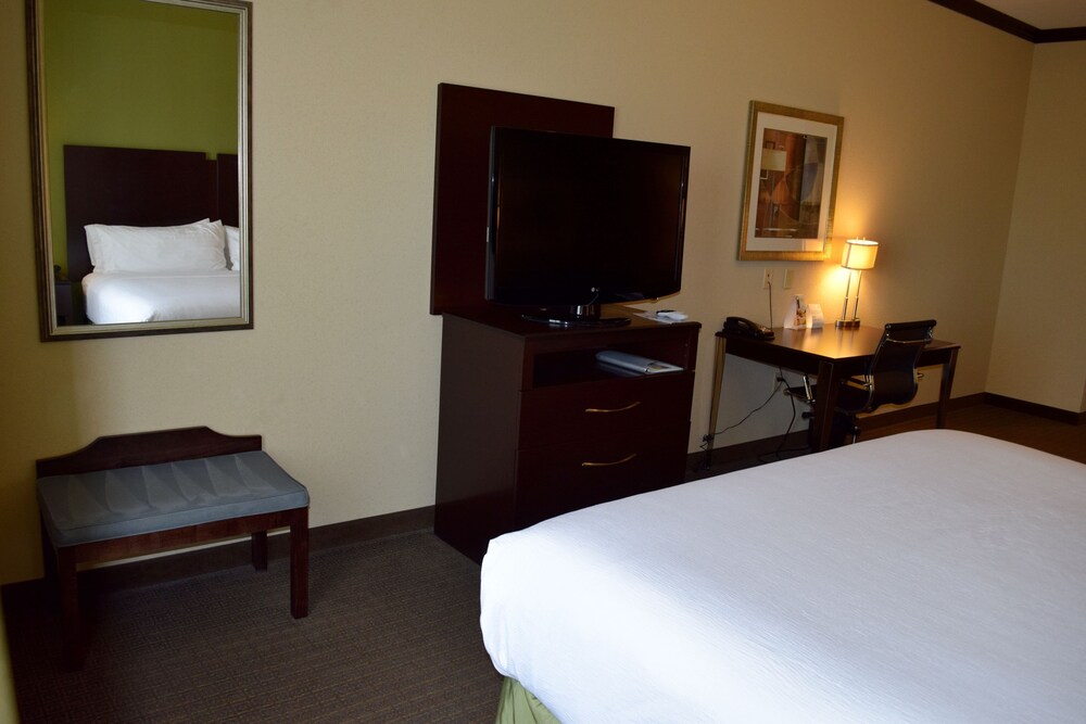 Holiday Inn Hou Energy Corridor Eldridge by IHG - photo 24