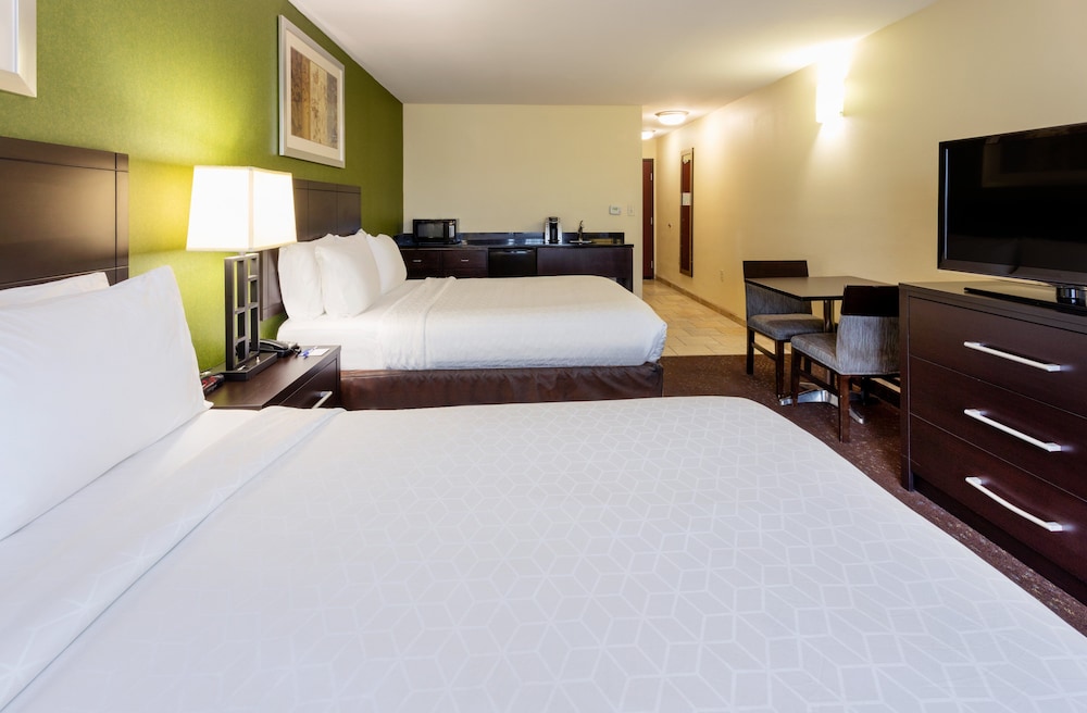 Holiday Inn Express & Suites Rochester Mayo Clinic Area by IHG - photo 8