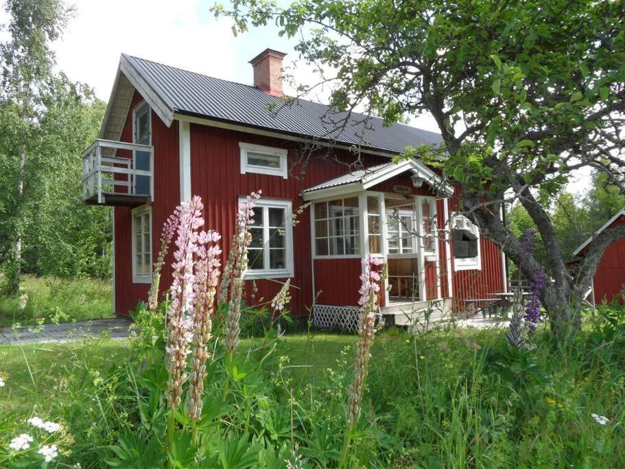 Sommardröm in Nora, Sweden