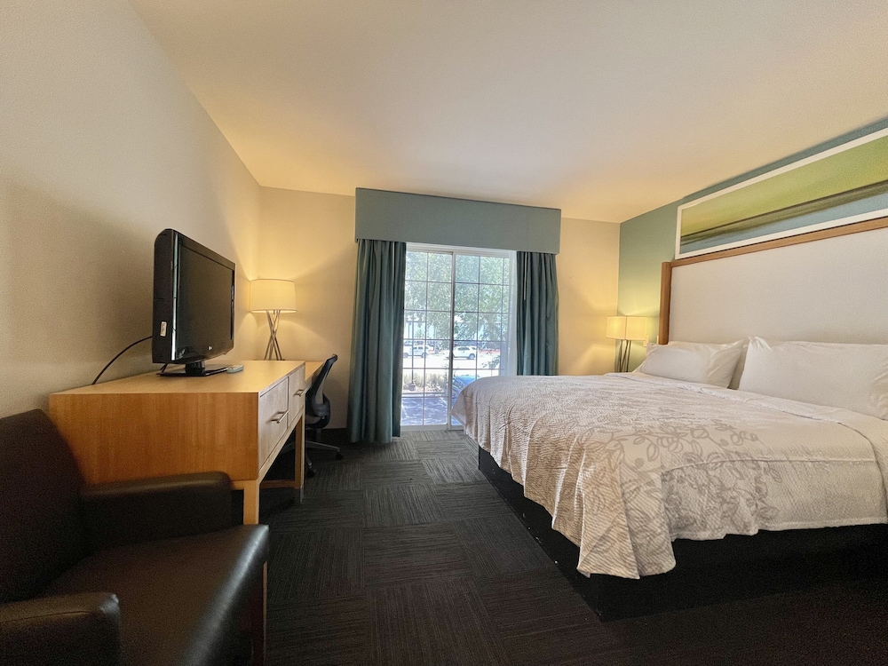 Red Roof Inn PLUS & Suites Tampa - photo 9