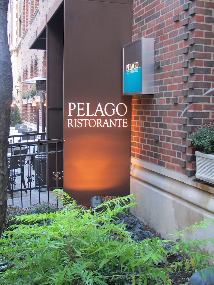 Gale Chicago - photo 33