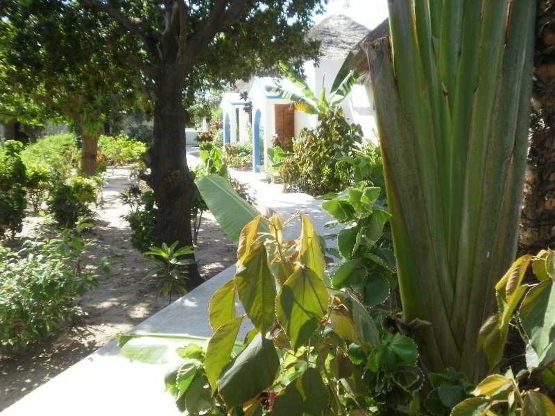 Le Cap Ocean — Ziguinchor — photo 3