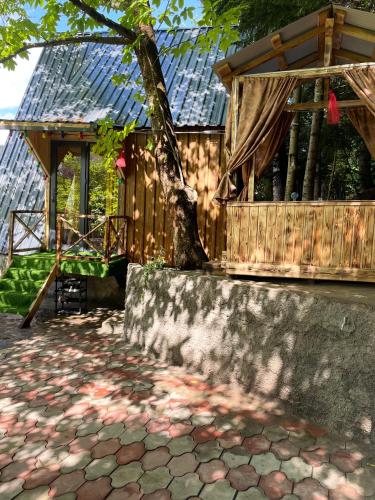 Forest House