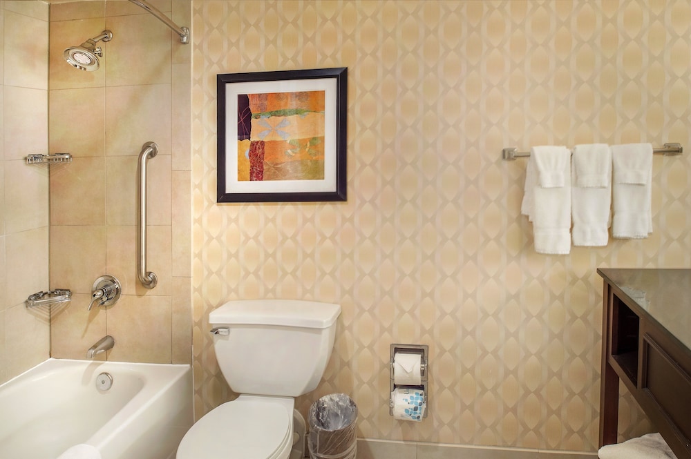 Crowne Plaza St. Louis Airport by IHG - photo 89