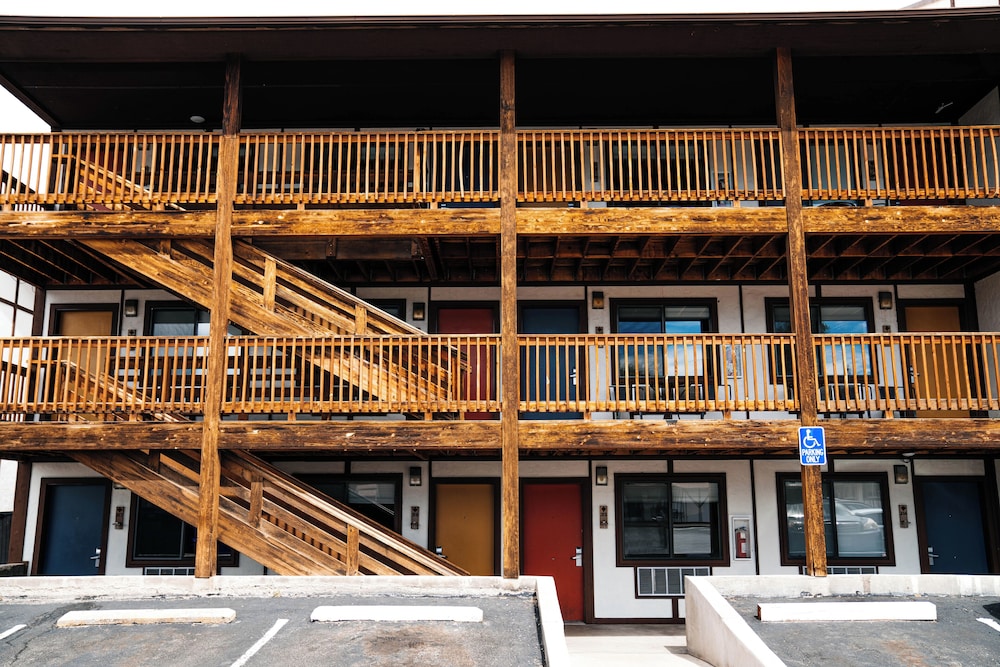 Loyal Duke Lodge - photo 48