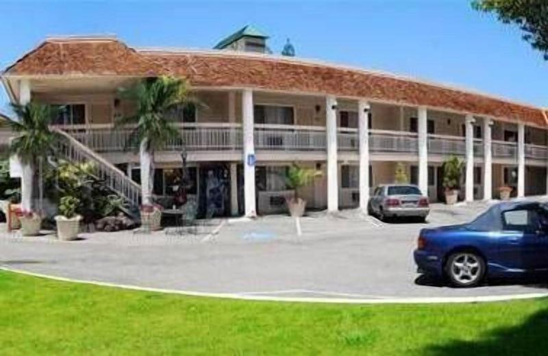 Caravelle Inn Suites - photo 21