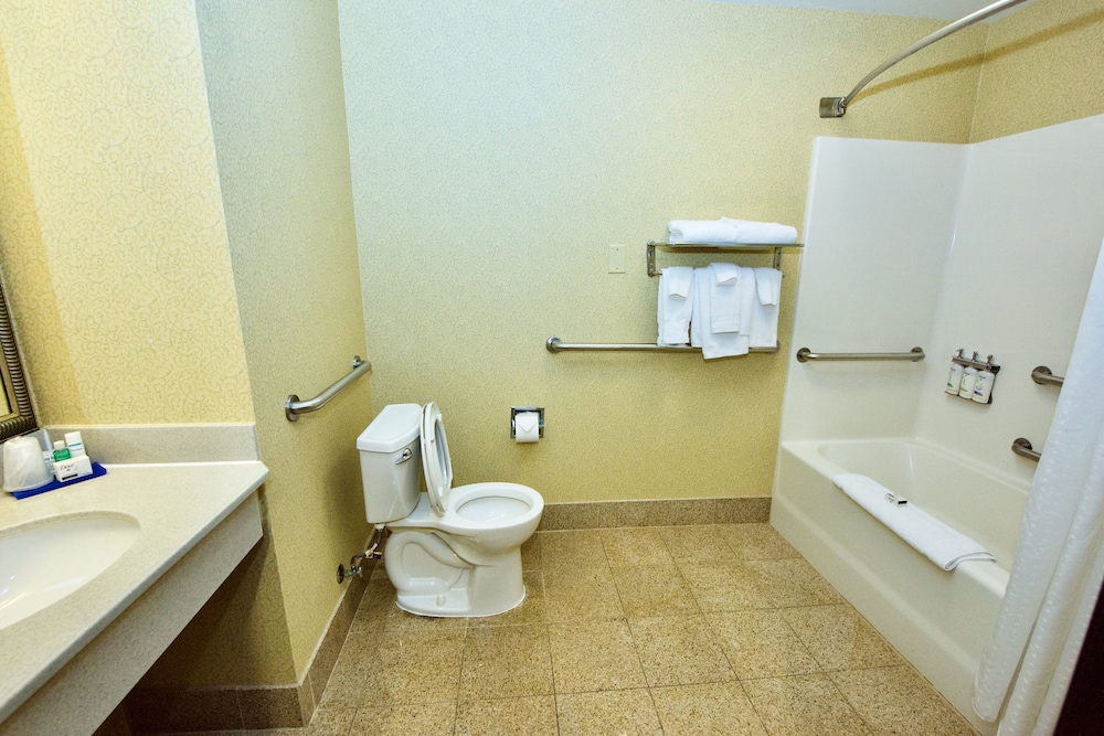 Holiday Inn Express & Suites St. Louis West Fenton by IHG - photo 22