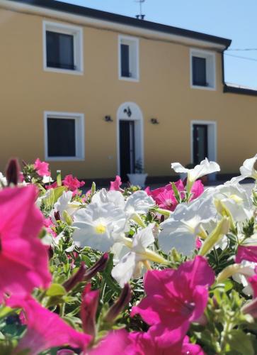 B&B Riva del Gallo — 4-Star Luxury Hotel in Tresigallo-Final Di Rero, Italy
