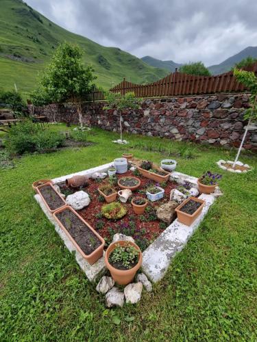 Allegria House