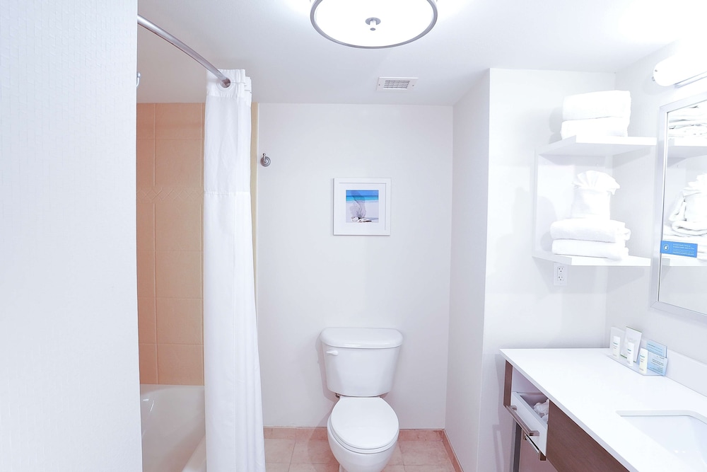 Hampton Inn & Suites Tampa Wesley Chapel - photo 20
