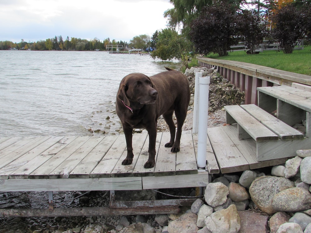 Grand Lake Resort - photo 51