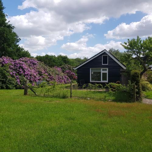 t Boshuisje in Unknown City, Netherlands