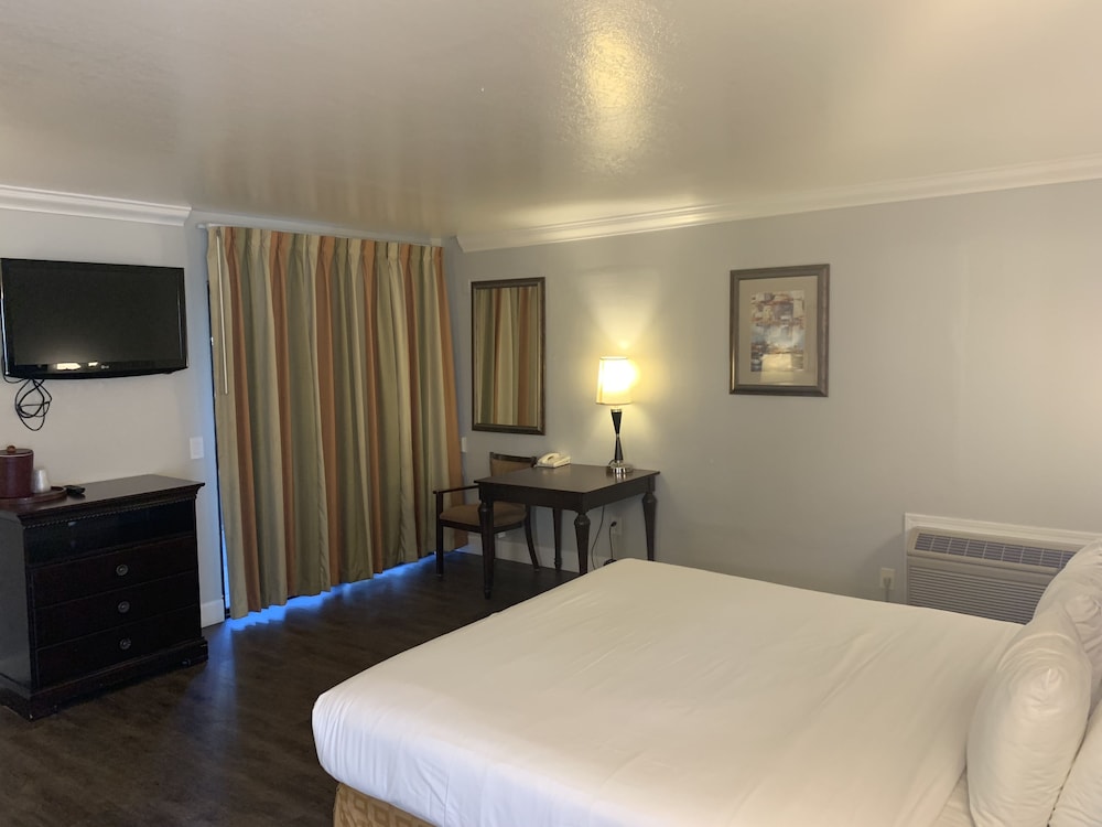 Stargazer Hotel - photo 10