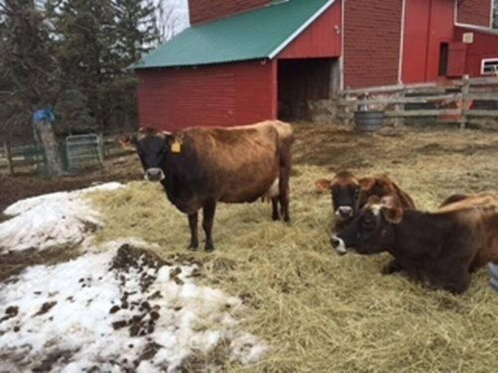 Flint Hill Farm AG - photo 25