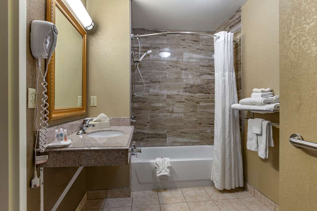 Comfort Suites Grand Rapids South - photo 9