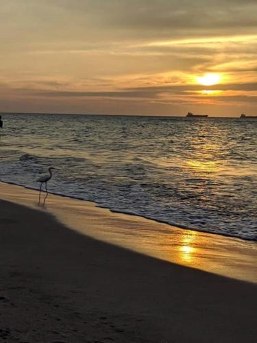 San Jose de los Acuarios in San Antero, Colombia