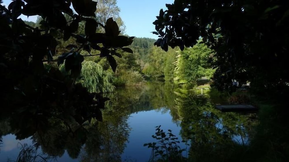 The Wayfarer Resort - photo 144