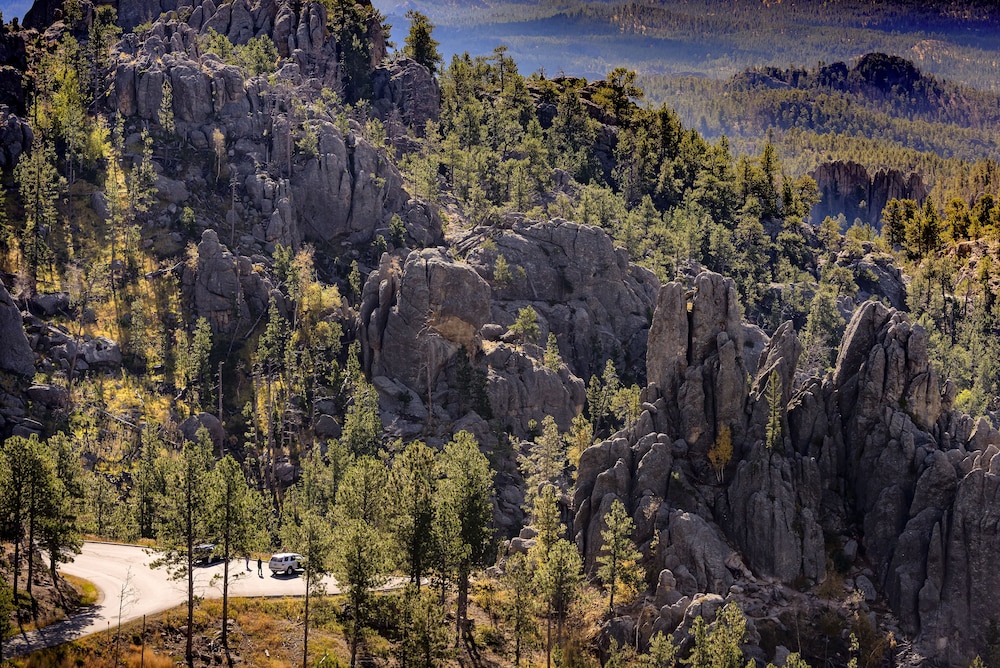 Holiday Inn Express & Suites Custer Mt Rushmore - photo 55