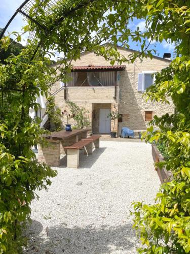 Microfattoria Lenta — Massignano — photo 2