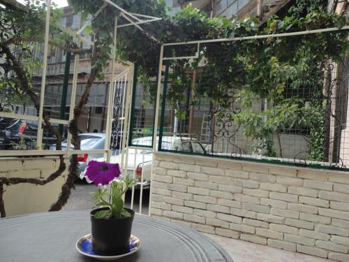 Art House Petunia