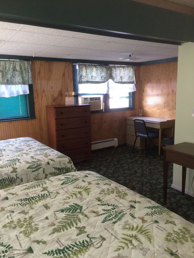 The Evergreen Motel - photo 4