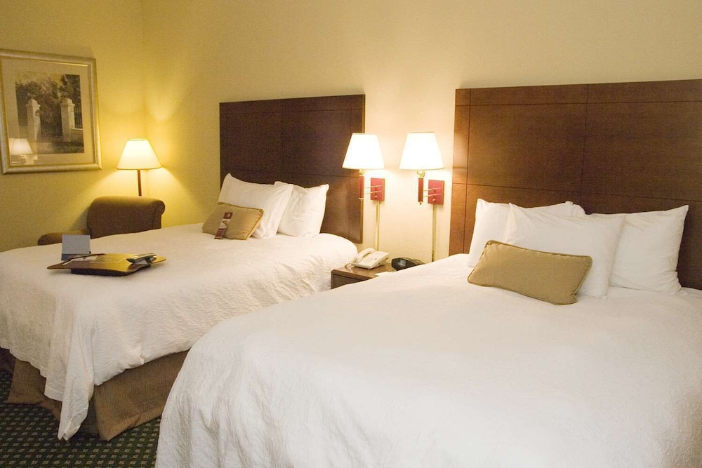 Hampton Inn Dyersburg - photo 13