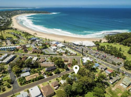 Wallace In Mollymook in Mollymook, Australia