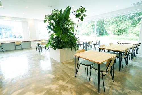 Oisesun Cafe & Hotel — Hyuga — photo 5