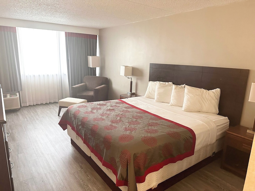 Ramada by Wyndham Cedar Rapids - photo 13